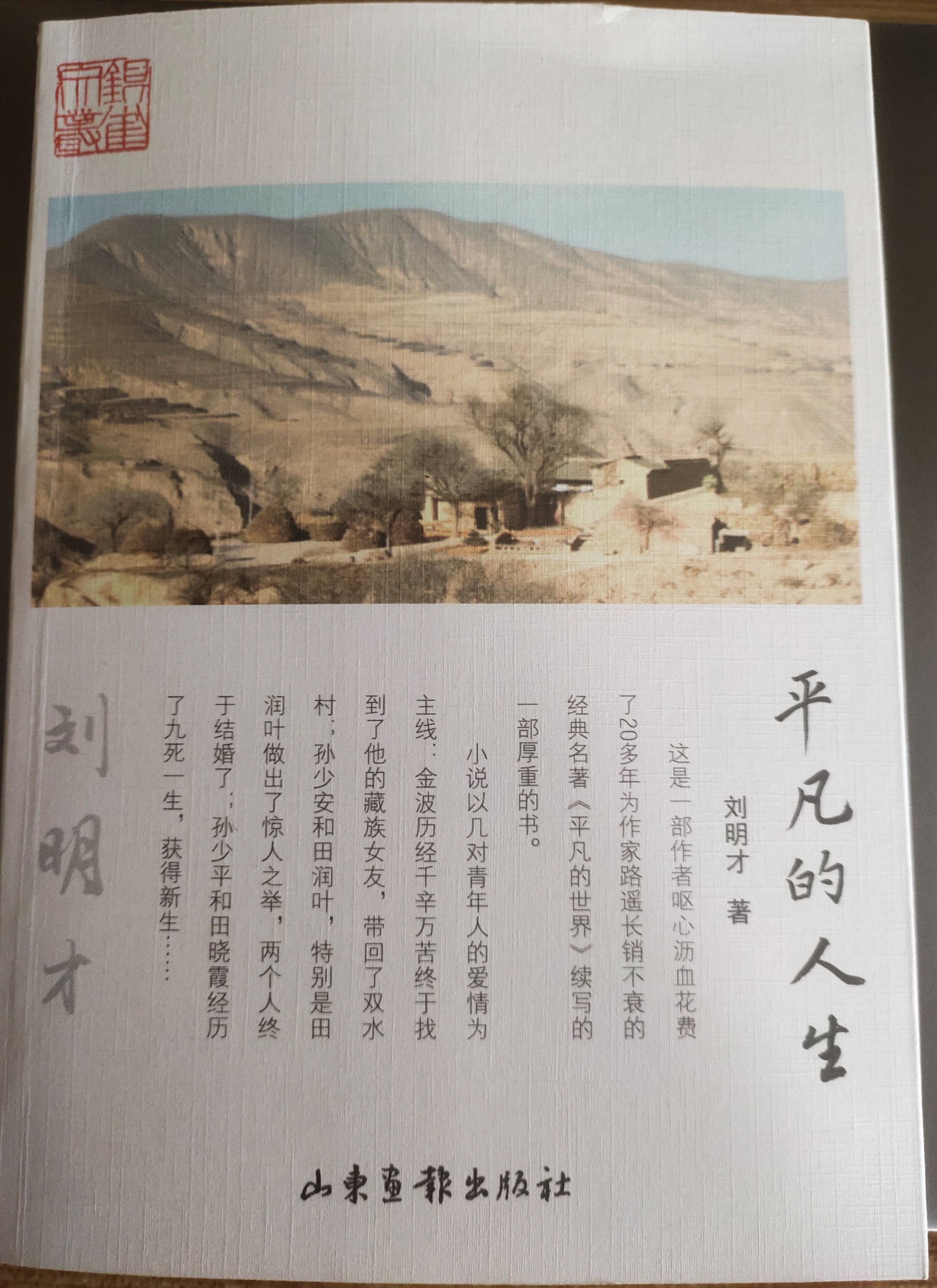 《平凡的世界》孙少安对杜丽丽这一人物有何看法？