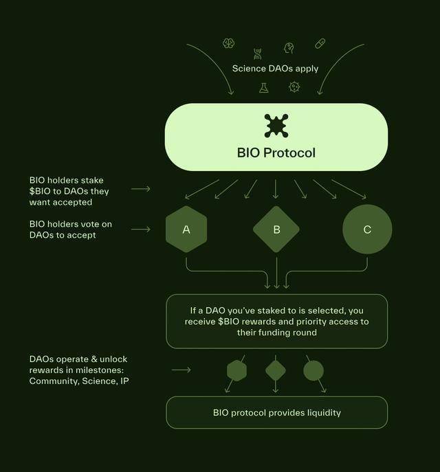 币安倾力支持的DeSci平台BIO Protocol估值几何？