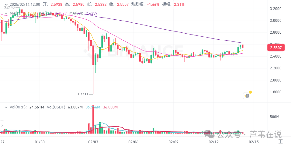 2月14日今日加密货币价格：BTC 持稳于 9.7 万美元，山寨币波动，但 XRP 和 KAS 飙升 4%